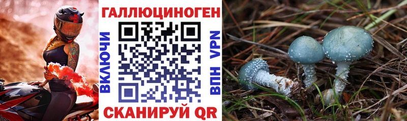 Псилоцибиновые грибы прущие грибы  Дубовка 